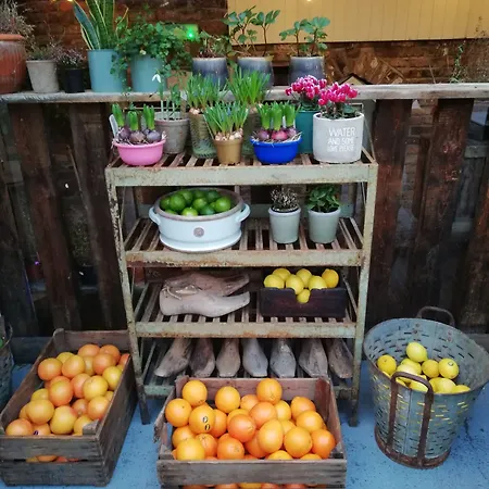 House Bedrooms Hotel Dublin