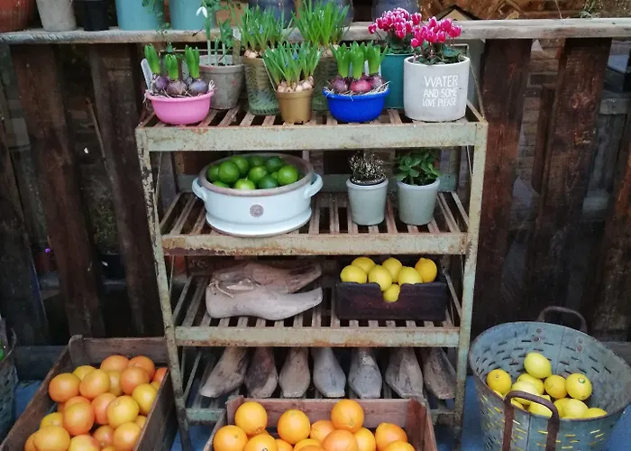 House Bedrooms Otel Dublin