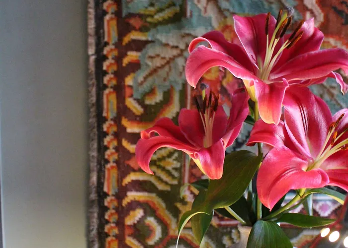 House Bedrooms 2* Dublín