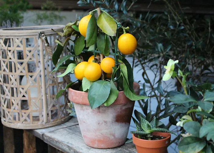 Отель House Bedrooms